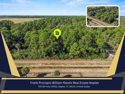 Naples Real Estate Agent Naples Real Estate Agent