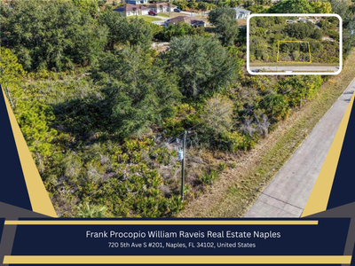 Naples Real Estate Agent Naples Real Estate Agent